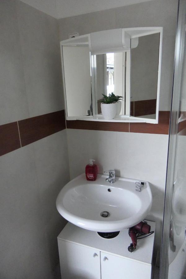 Apartments Ribno ブレッド エクステリア 写真
